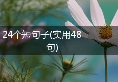 24个短句子(实用48句)