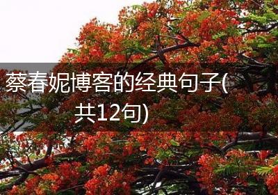 蔡春妮博客的经典句子(共12句)