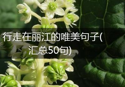 行走在丽江的唯美句子(汇总50句)