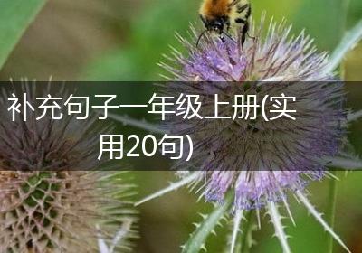 补充句子一年级上册(实用20句)