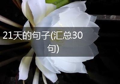 21天的句子(汇总30句)