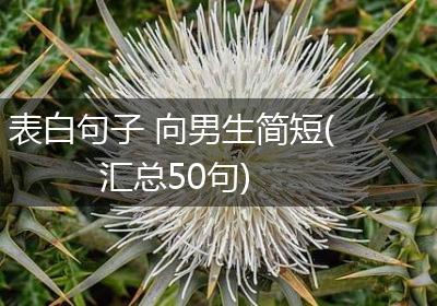 表白句子 向男生简短(汇总50句)