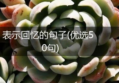 表示回忆的句子(优选50句)
