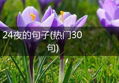 24夜的句子(热门30句)