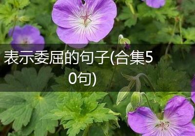 表示委屈的句子(合集50句)