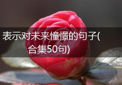 表示对未来憧憬的句子(合集50句)