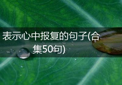 表示心中报复的句子(合集50句)