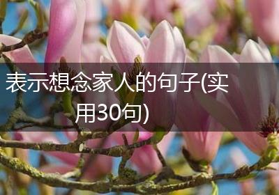 表示想念家人的句子(实用30句)