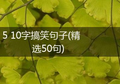 5 10字搞笑句子(精选50句)