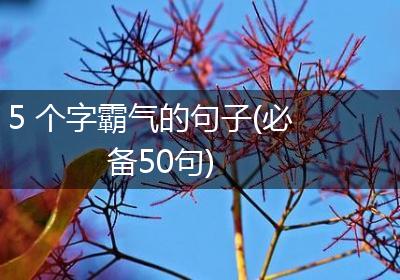 5 个字霸气的句子(必备50句)