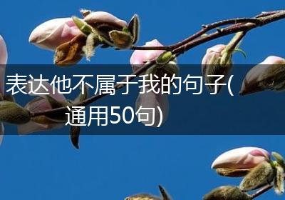 表达他不属于我的句子(通用50句)