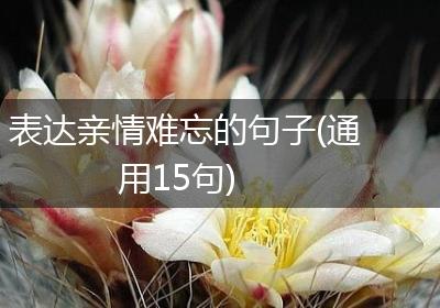 表达亲情难忘的句子(通用15句)