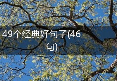 49个经典好句子(46句)