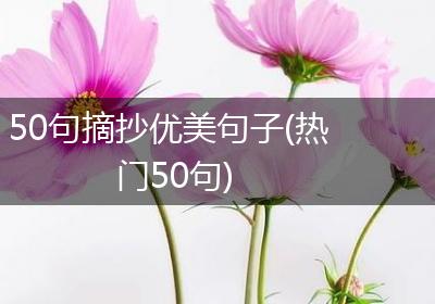 50句摘抄优美句子(热门50句)
