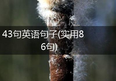 43句英语句子(实用86句)