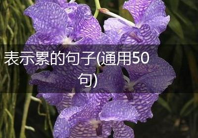 表示累的句子(通用50句)