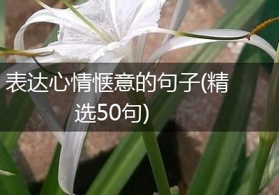 表达心情惬意的句子(精选50句)