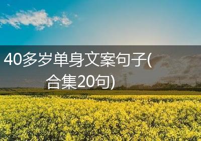 40多岁单身文案句子(合集20句)