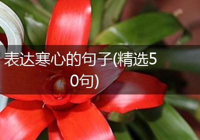 表达寒心的句子(精选50句)