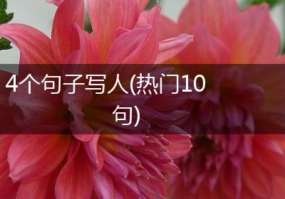 4个句子写人(热门10句)