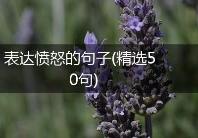 表达愤怒的句子(精选50句)