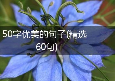 50字优美的句子(精选60句)