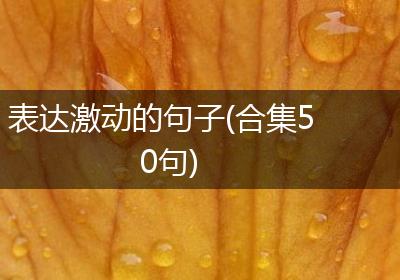 表达激动的句子(合集50句)