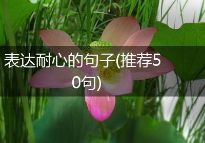 表达耐心的句子(推荐50句)
