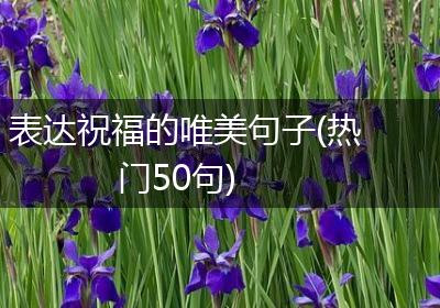 表达祝福的唯美句子(热门50句)