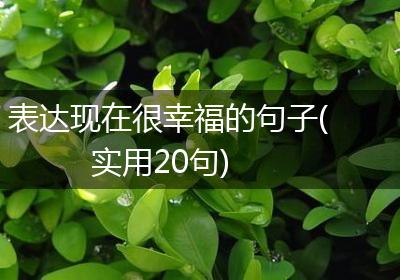 表达现在很幸福的句子(实用20句)