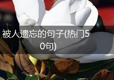 被人遗忘的句子(热门50句)