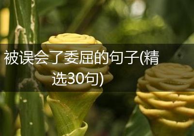 被误会了委屈的句子(精选30句)