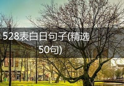 528表白日句子(精选50句)