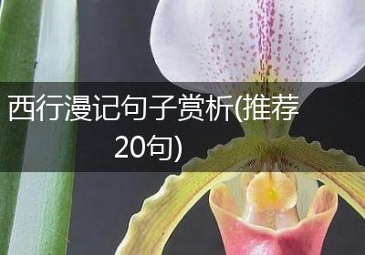 西行漫记句子赏析(推荐20句)