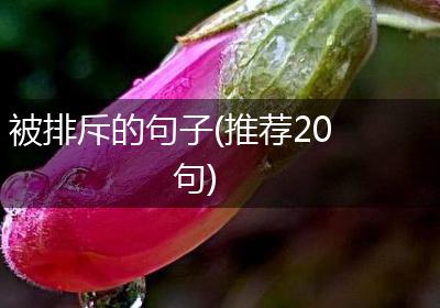 被排斥的句子(推荐20句)