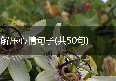解压心情句子(共50句)