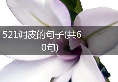 521调皮的句子(共60句)