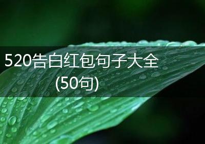 520告白红包句子大全(50句)