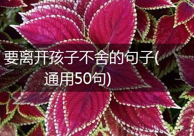 要离开孩子不舍的句子(通用50句)