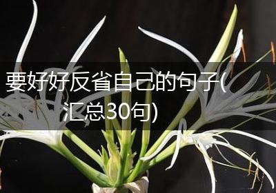要好好反省自己的句子(汇总30句)
