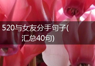 520与女友分手句子(汇总40句)