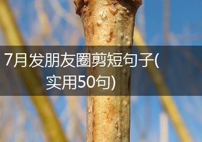 7月发朋友圈剪短句子(实用50句)