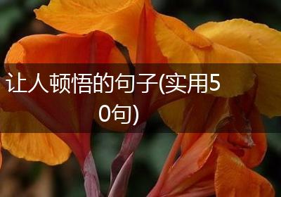 让人顿悟的句子(实用50句)