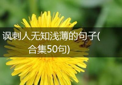 讽刺人无知浅薄的句子(合集50句)