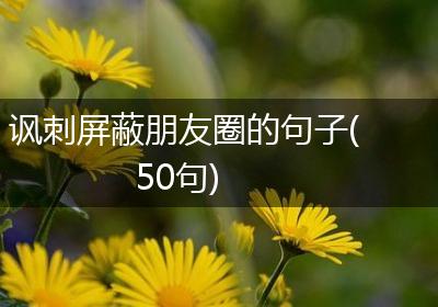 讽刺屏蔽朋友圈的句子(50句)