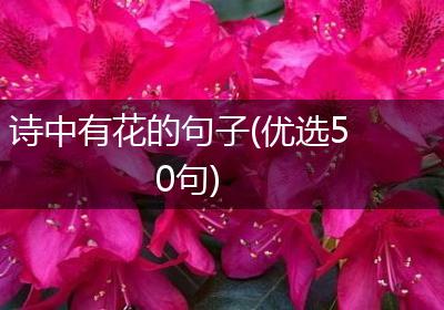诗中有花的句子(优选50句)