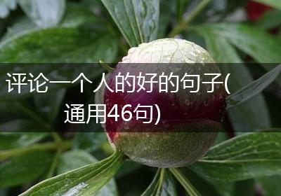 评论一个人的好的句子(通用46句)