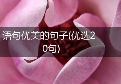 语句优美的句子(优选20句)