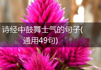 诗经中鼓舞士气的句子(通用49句)