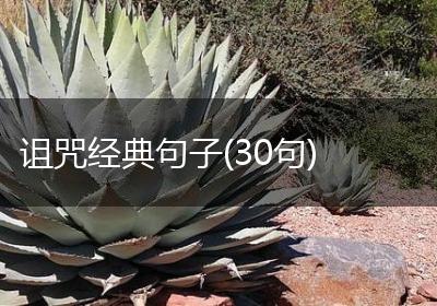 诅咒经典句子(30句)
